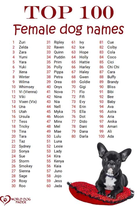 cool dog names female|unusual female dog names 2020.